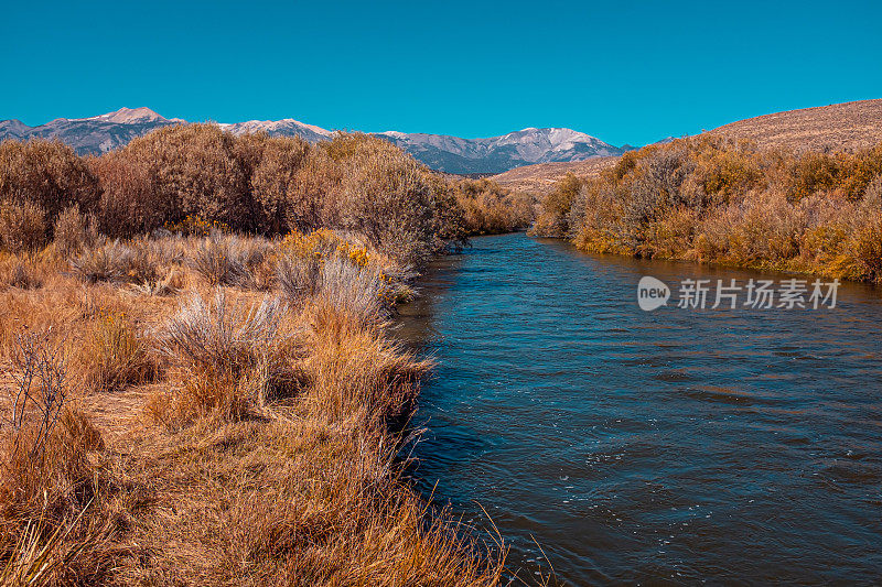 Rasy Walker River Rosaschi牧场